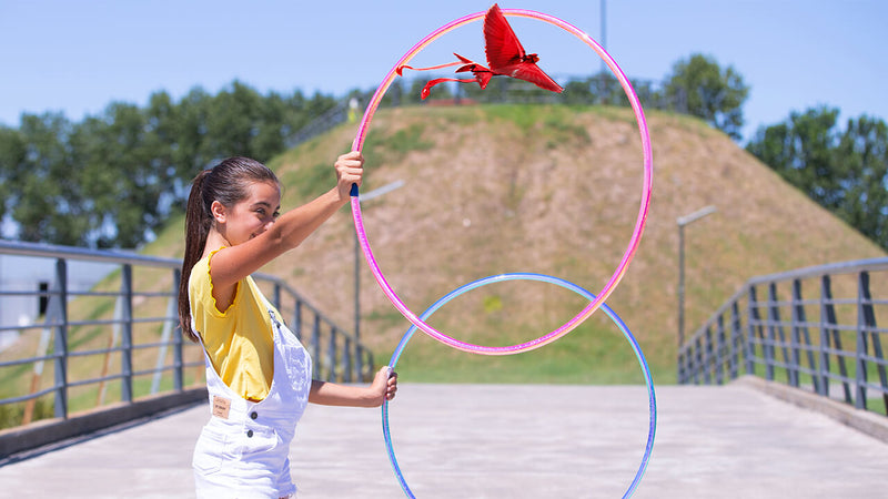 Go Go Bird - A Top Toy for Lasting Fun!