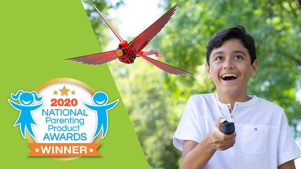 Go Go Bird selected as a NAPPA Awards winner!