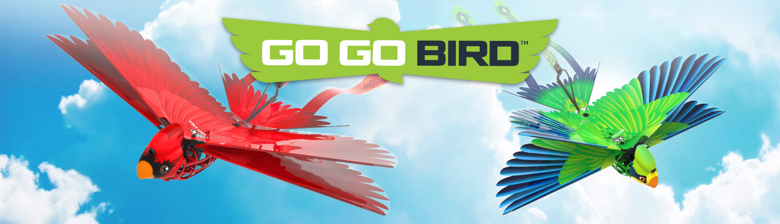 Go Go Bird Remote Control Toy