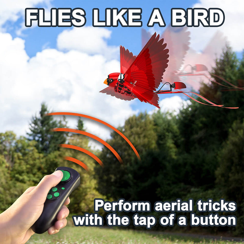 gogo_bird_fly_like_a_real_bird_perform_aerial_tricks