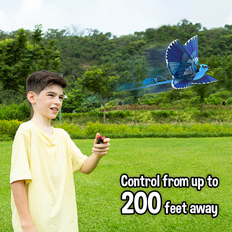 remote_control_bird_classic_rc_toy_kids_beginner_drone
